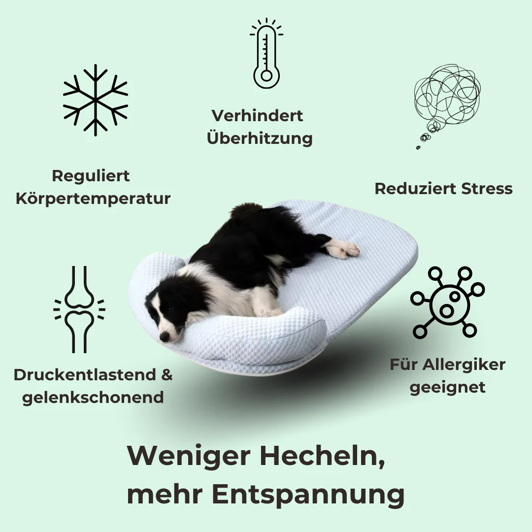 CoolCare Matte – Bild 3